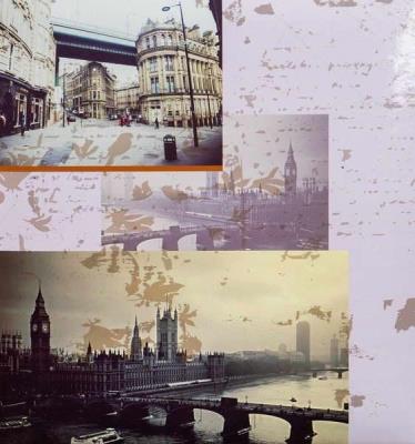 Opakowanie Fotoalbum kieszeniowy szyty Capitals