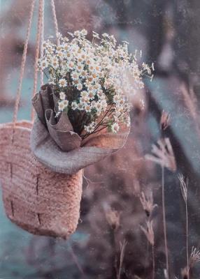 Opakowanie Fotoalbum kieszeniowy szyty Cruet