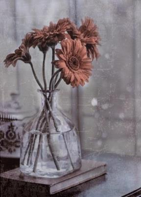 Opakowanie Fotoalbum kieszeniowy szyty Cruet