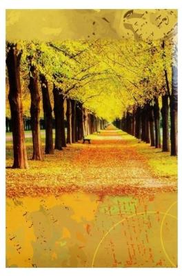 Opakowanie Fotoalbum kieszeniowy szyty Main 2