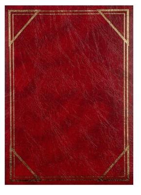 Opakowanie Fotoalbum kieszeniowy szyty Vinyl 1