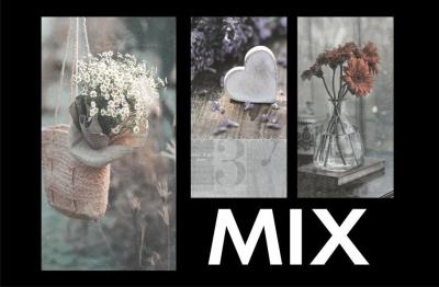 Opakowanie Fotoalbum kieszeniowy zgrzewany Cruet MIX