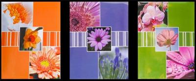 Opakowanie Fotoalbum kieszeniowy zgrzewany Florid MIX