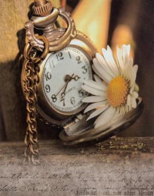 Opakowanie Fotoalbum kieszeniowy zgrzewany Jiffy