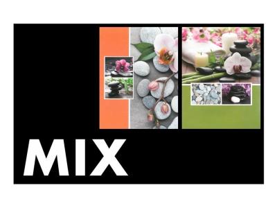 Opakowanie Fotoalbum kieszeniowy zgrzewany Orchid MIX