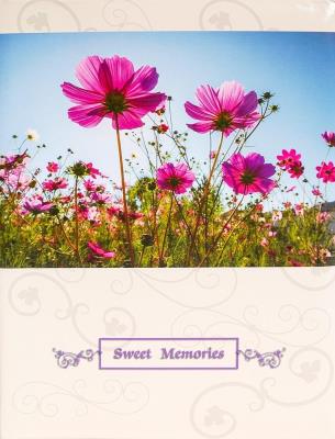 Fotoalbum samoprzylepny Beauty. Wydawca: Fandy. SmakLiter.pl Opakowanie Fotoalbum samoprzylepny Beauty