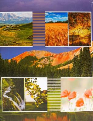 Fotoalbum samoprzylepny Dash. Wydawca: Fandy. SmakLiter.pl Opakowanie Fotoalbum samoprzylepny Dash