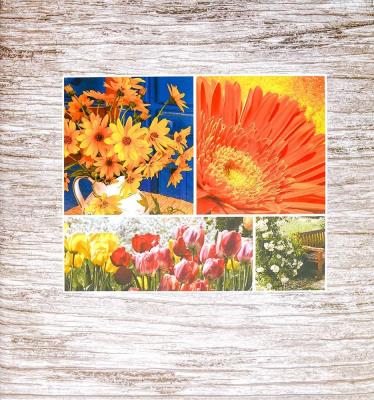 Opakowanie Fotoalbum samoprzylepny Incolor