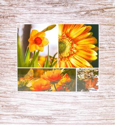 Opakowanie Fotoalbum samoprzylepny Incolor