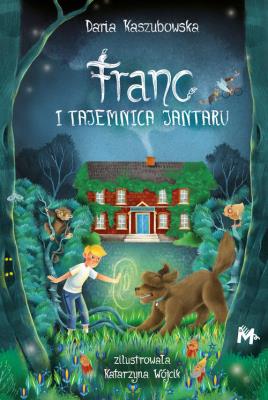 Franc i tajemnica Jantaru. Autor: Kaszubowska Daria. SmakLiter.pl Okładka książki Franc i tajemnica Jantaru