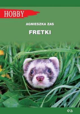 Fretki w.2018. Autor: Zas Agnieszka. SmakLiter.pl Okładka książki Fretki w.2018