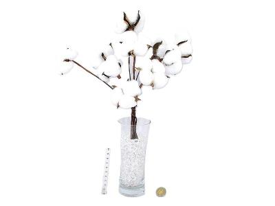 Opakowanie Gałązka bawełny