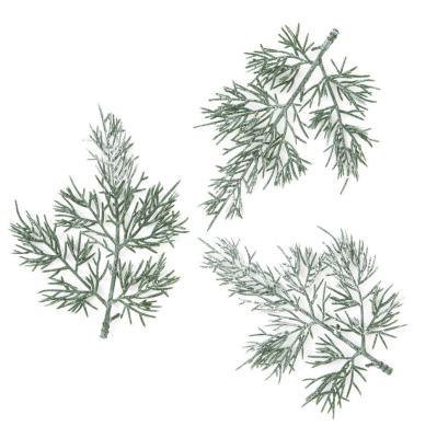 Gałązki tuji 13cm 3szt. Wydawca: Dalprint. SmakLiter.pl Opakowanie Gałązki tuji 13cm 3szt