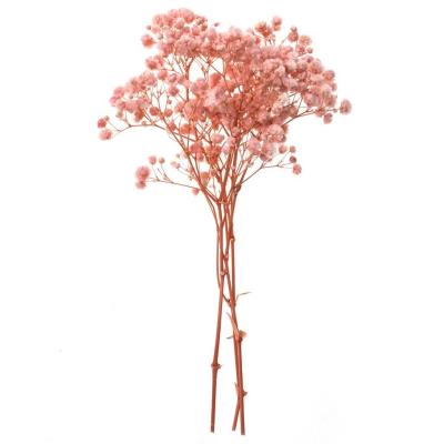 Opakowanie Gipsówka 4 gałązki ok. 20cm light pink
