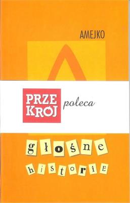 Głośne historie. Autor: Amejko Lidia. SmakLiter.pl Okładka książki Głośne historie