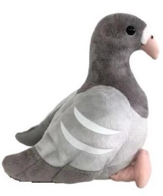 Opakowanie Gołąb szary 24cm