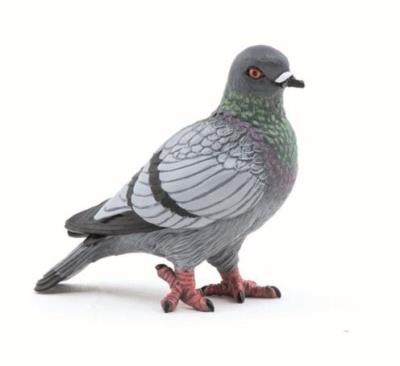 Gołąb. Wydawca: PAPO. SmakLiter.pl Opakowanie Gołąb