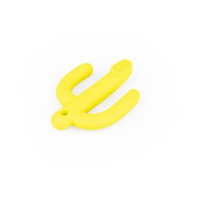 Opakowanie Gryzak Kaktus żółty