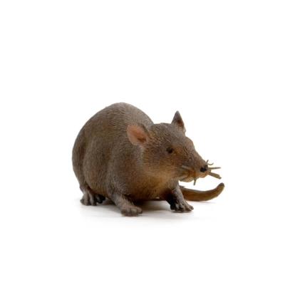 Opakowanie Gumowy szczur