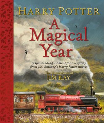 Harry Potter A Magical Year. Autor: Kay Jim. SmakLiter.pl Okładka książki Harry Potter A Magical Year