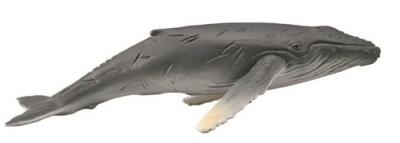 Humbak młody. Wydawca: Collecta. SmakLiter.pl Opakowanie Humbak młody