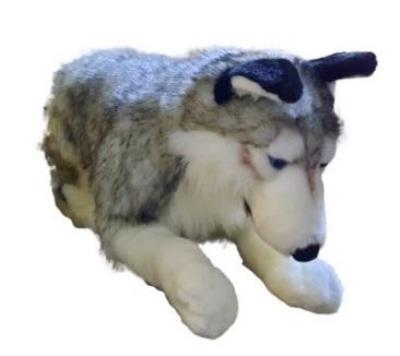 Opakowanie Husky 71cm