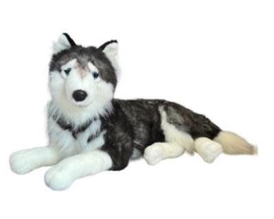 Opakowanie Husky leżący 60cm