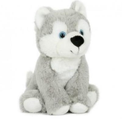 Opakowanie Husky siedzący 18cm