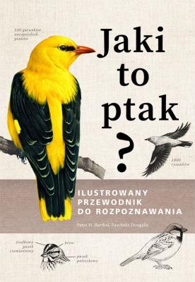 Jaki to ptak? Ilustrowany przewodnik do rozpoznawania. Autor: Peter H.  Barthel, Paschalis Dougalis. SmakLiter.pl Okładka książki Jaki to ptak? Ilustrowany przewodnik do rozpoznawania