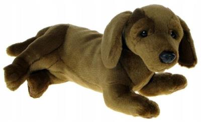 Opakowanie Jamnik 31cm