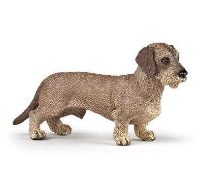 Opakowanie Jamnik szorstkowłosy