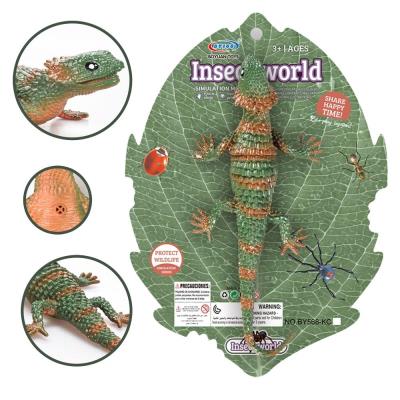 Opakowanie Jaszczurka