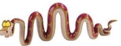 Opakowanie Kaa BULLYLAND