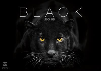 Opakowanie Kalendarz 2018 czarny ex