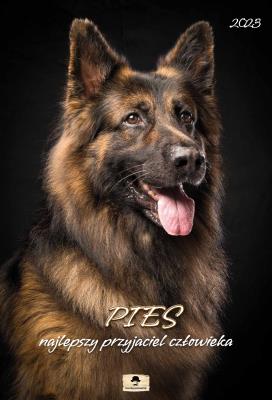 Opakowanie Kalendarz 2023 A3 Ścienny Pies