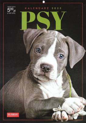 Opakowanie Kalendarz 2023 A4 Ścienny psy