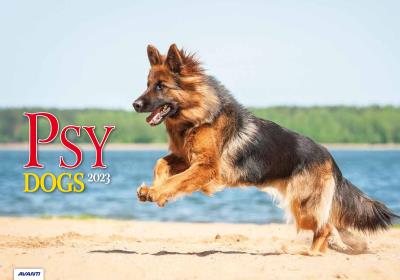 Opakowanie Kalendarz 2023 Albumowy Psy AVANTI