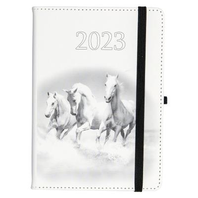 Opakowanie Kalendarz 2023 B6 dzienny Jazz konie ELEFANT