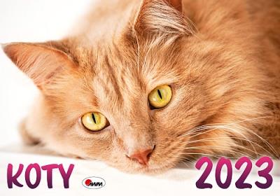 Opakowanie Kalendarz 2023 Koty KA2