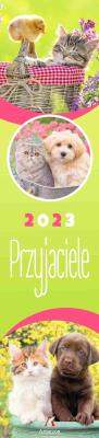 Opakowanie Kalendarz 2023 paskowy przyjaciele kolor