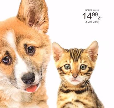 Opakowanie Kalendarz 2023 Ścienny Kociaki i szczeniaki