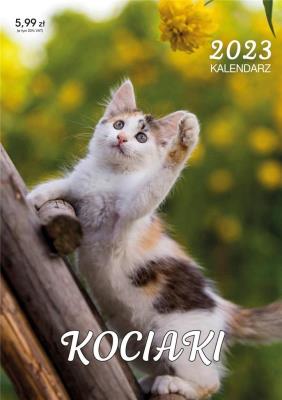 Opakowanie Kalendarz 2023 ścienny Kociaki