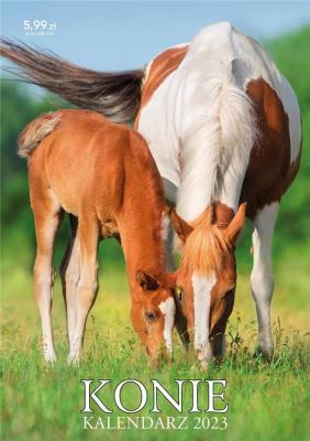 Opakowanie Kalendarz 2023 ścienny Konie
