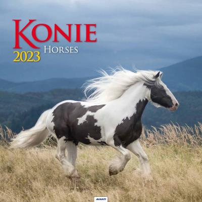 Opakowanie Kalendarz 2023 Ścienny Konie AVANTI