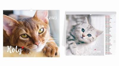 Opakowanie Kalendarz 2023 ścienny Koty