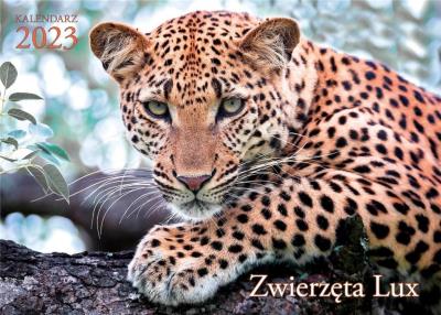 Opakowanie Kalendarz 2023 ścienny Lux Zwierzęta