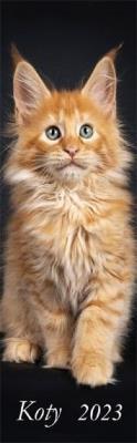 Opakowanie Kalendarz 2023 Ścienny pasek Koty