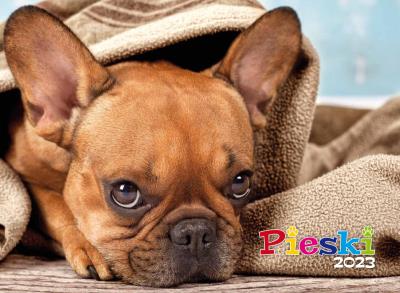 Opakowanie Kalendarz 2023 Ścienny Pieski