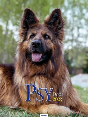 Opakowanie Kalendarz 2023 Ścienny Psy AVANTI