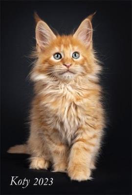 Opakowanie Kalendarz 2023 Ścienny wieloplanszowy Koty